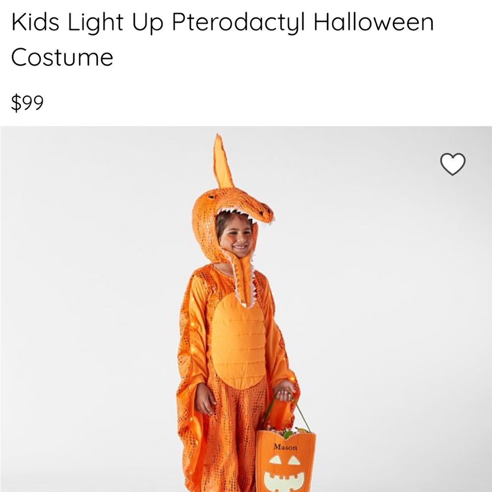 Pottery Barn Dinosaur Costume